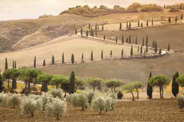 Tuscan countryside road- Tuscan Weddings and Events