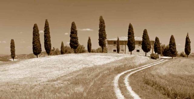 Tuscan Countryside villa with cyprus trees- Tuscan Weddings and Events